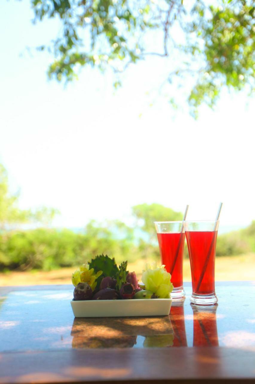 Nil Sisila Beach Resort Yala Exterior foto